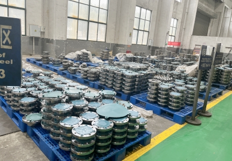 Wuxi Changrun Supply Quality Flange and Forgings to BASF-YPC